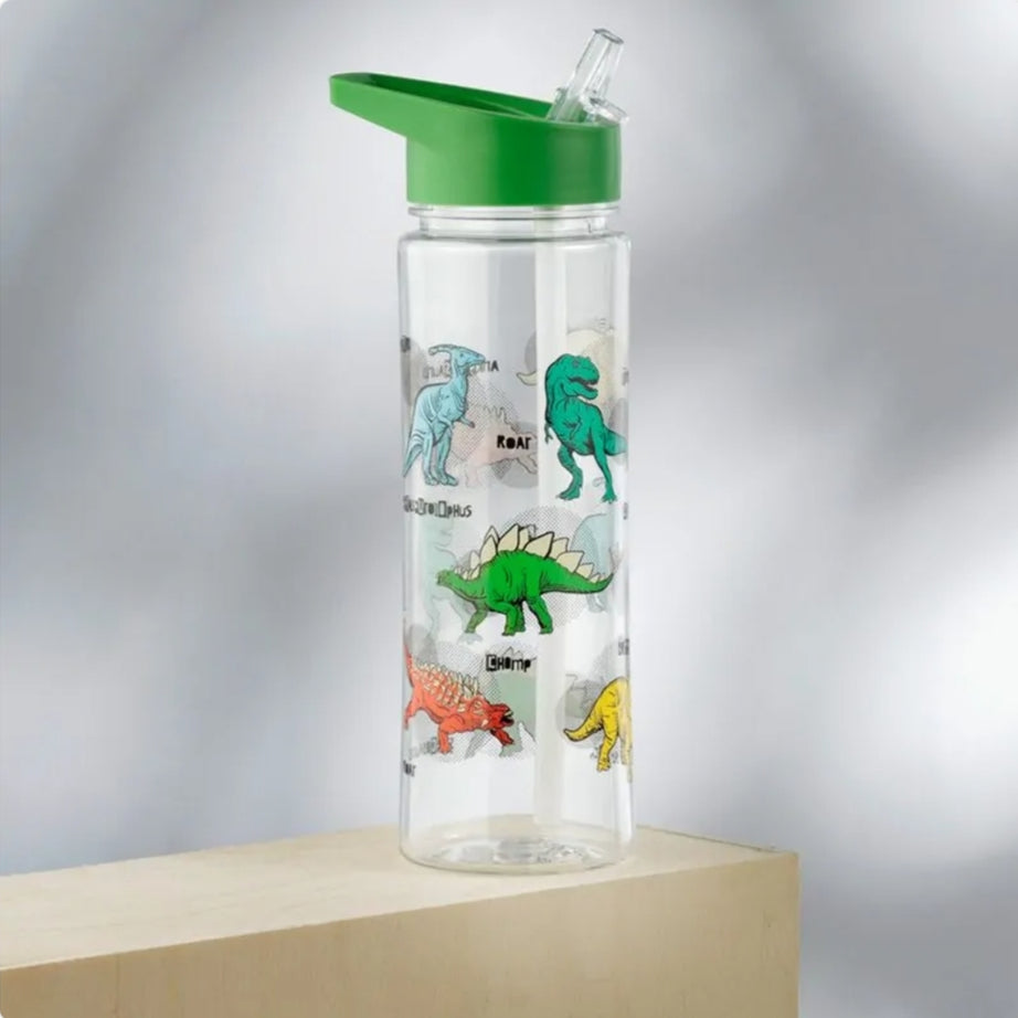 Garrafa com Palhinha Dinossauro 550ml