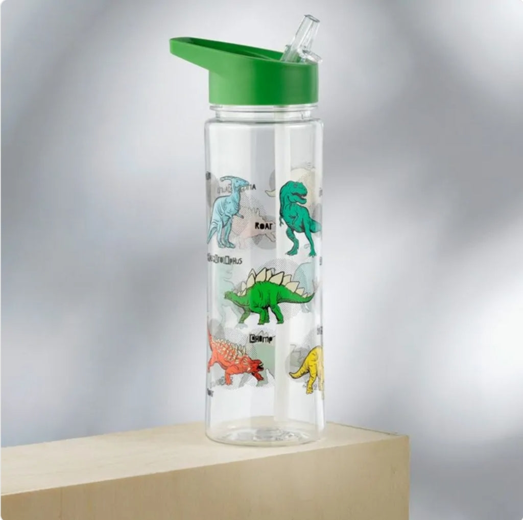 Garrafa com Palhinha Dinossauro 550ml