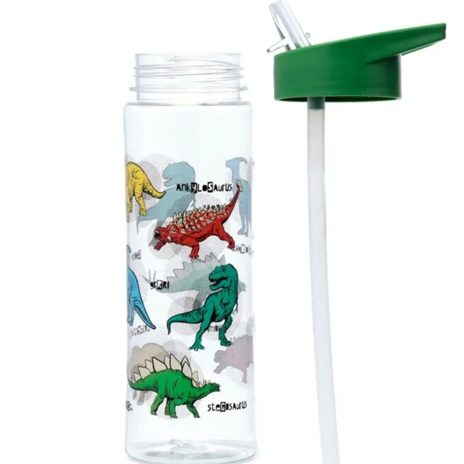 Garrafa com Palhinha Dinossauro 550ml