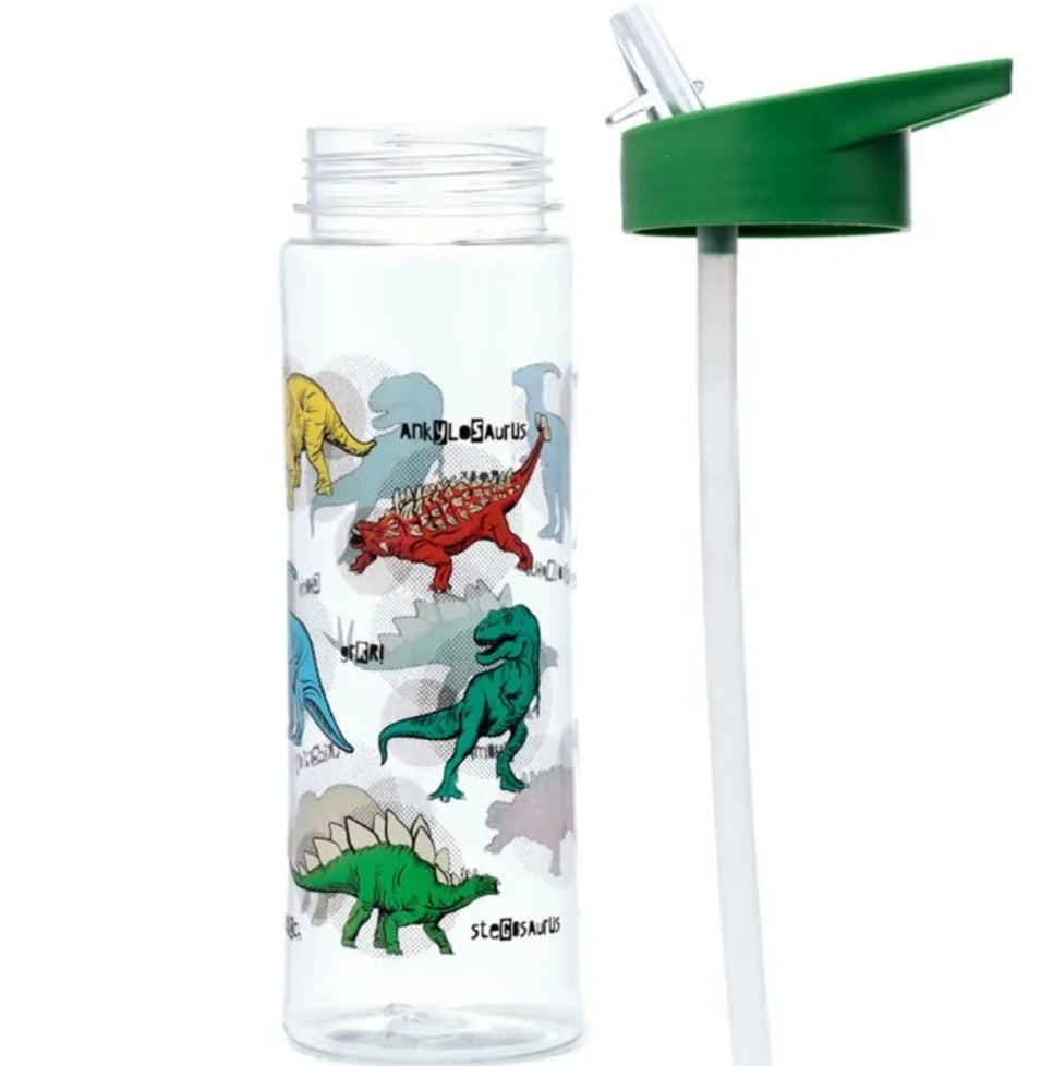 Garrafa com Palhinha Dinossauro 550ml