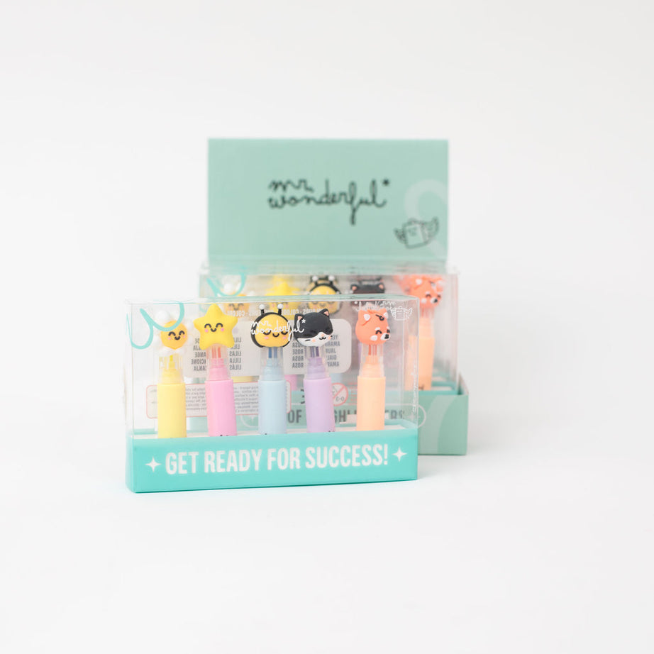 Conjunto 5 Sublinhadores Mr.Wonderful