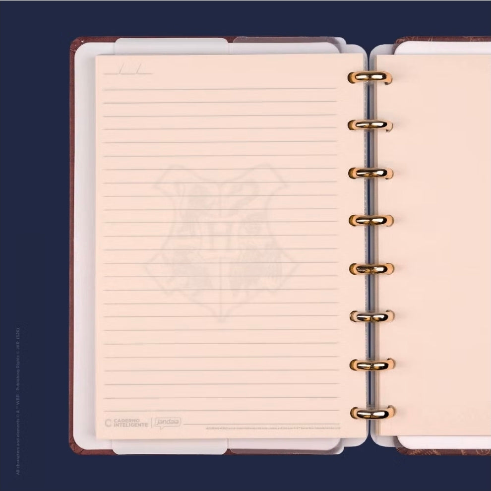 Caderno Inteligente A5 Harry Potter Shorting Hat - Edição Especial