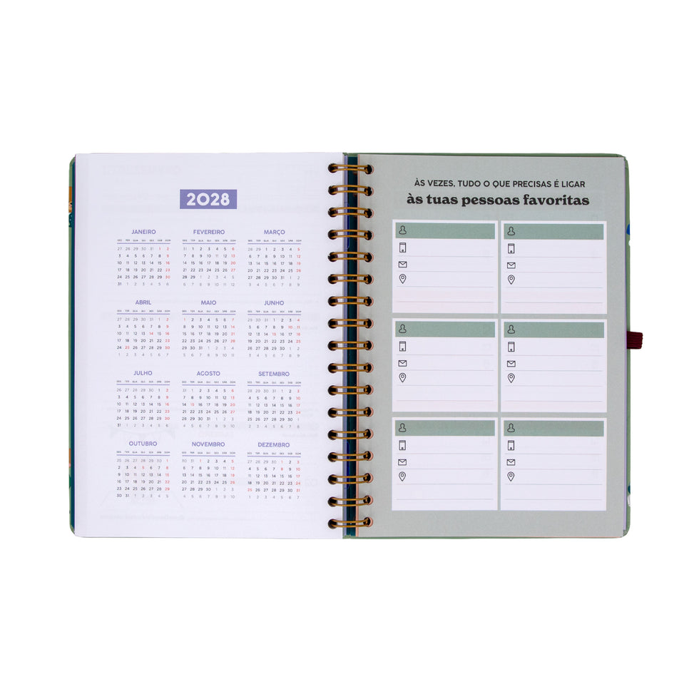 Agenda Semanal 2027 Pequena Mr.Wonderful "Entre Rotinas e Tarefas"