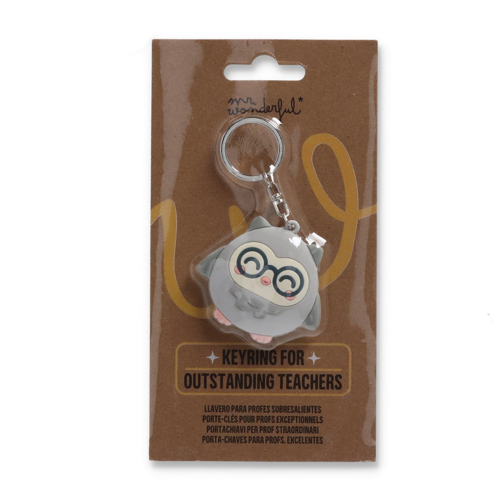 Porta Chaves Coruja Mr.Wonderful "Para Professores Excelentes"