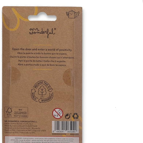 Porta Chaves Lápis Professores Mr.Wonderful