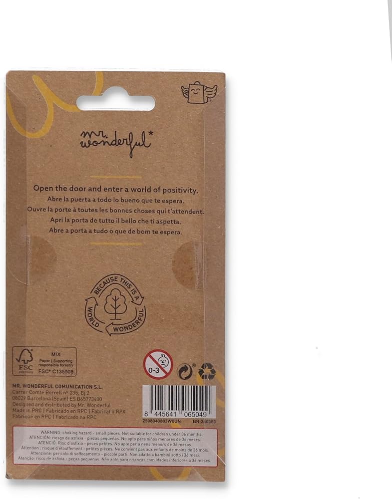 Porta Chaves Lápis Professores Mr.Wonderful