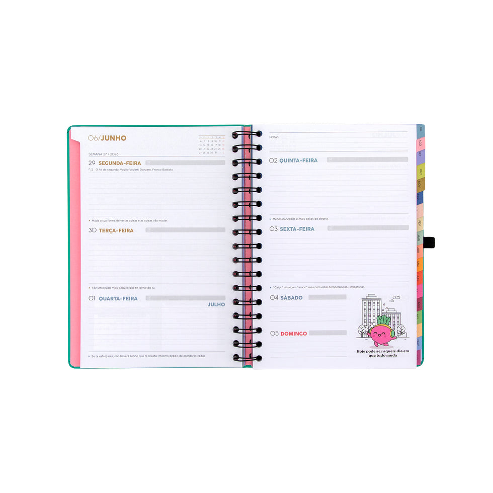 Agenda Semanal 18 Meses 2026/2027 Mr.Wonderful "Sonha Muito, Vive Livre"