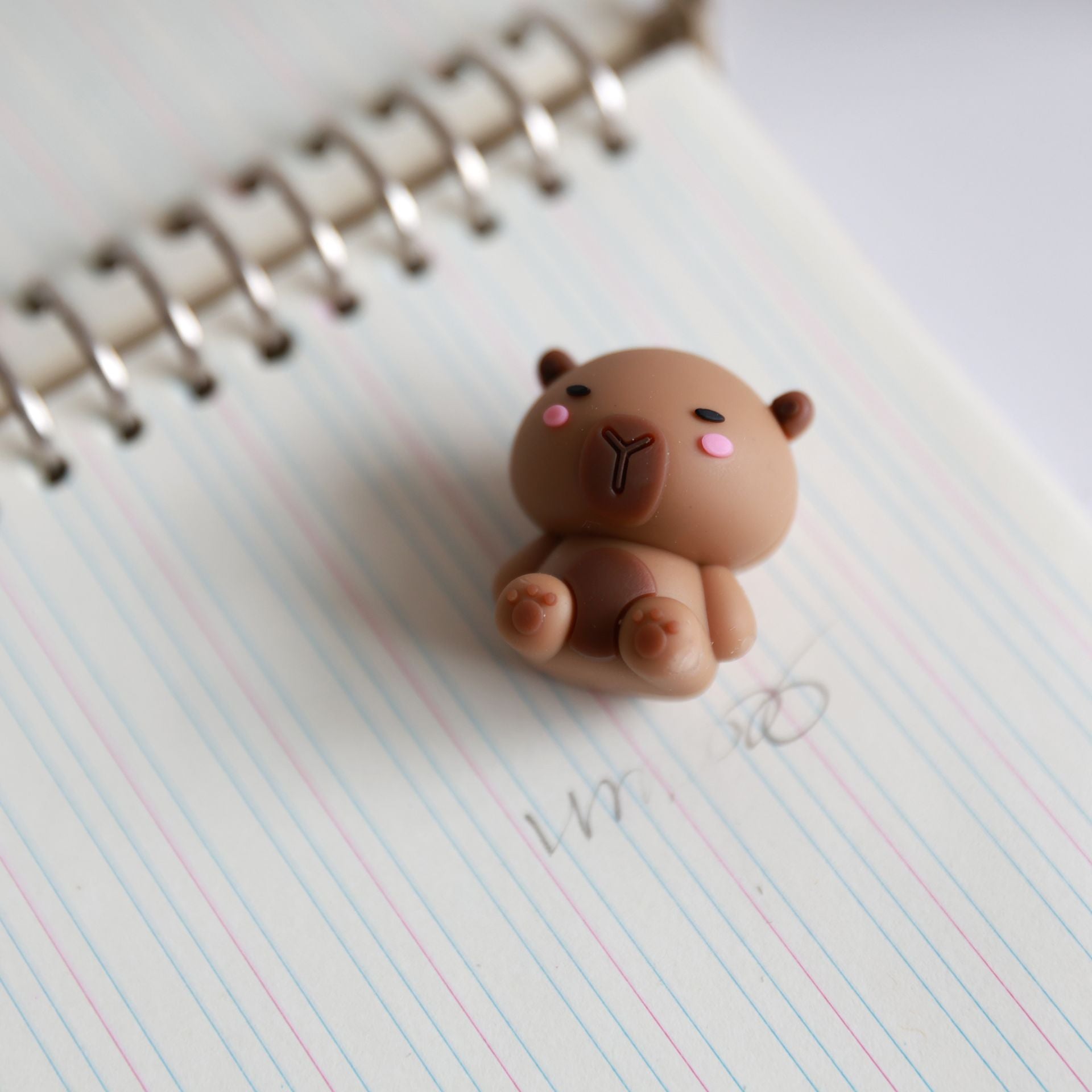 Borracha 3D Capivara