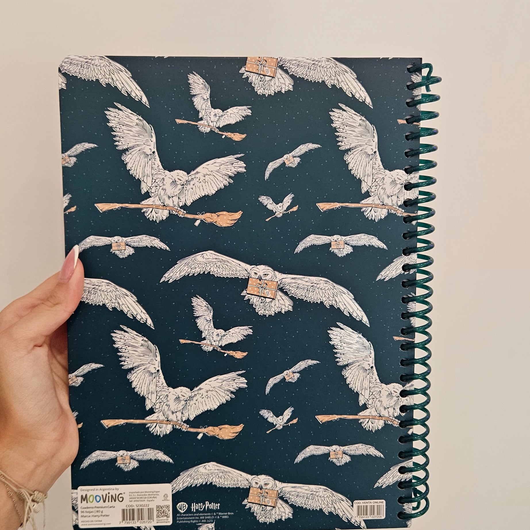 Caderno A4 em Espiral Quadriculado Harry Potter com Autocolantes e Envelope
