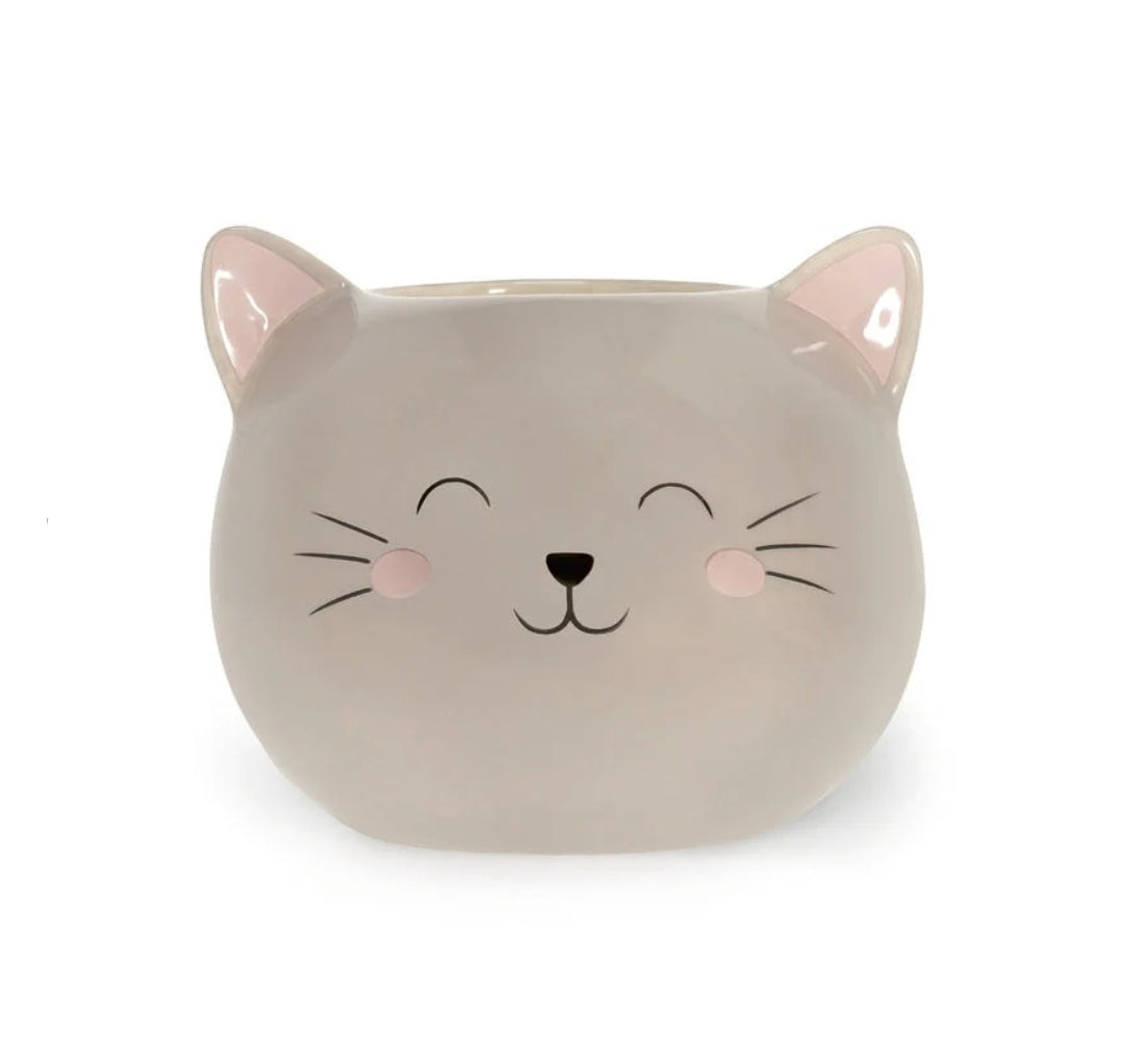 Vela Gato Legami Aroma Bagas Rosa