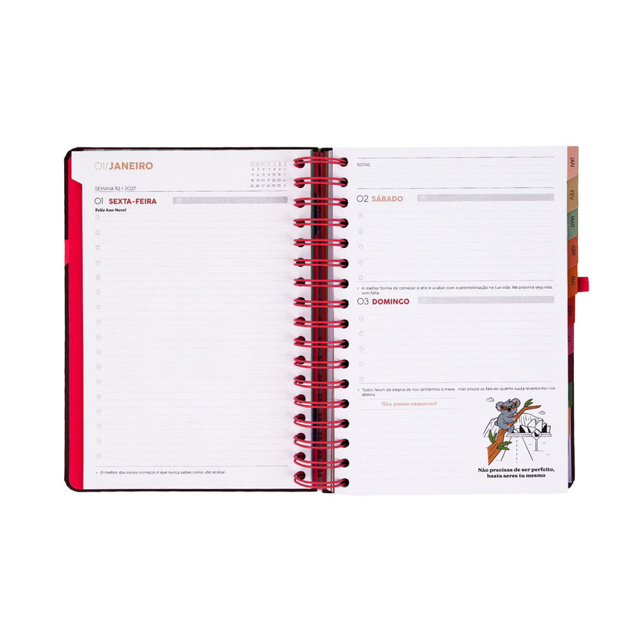 Agenda Diária 2027 Full Aesthetic Mr.Wonderful