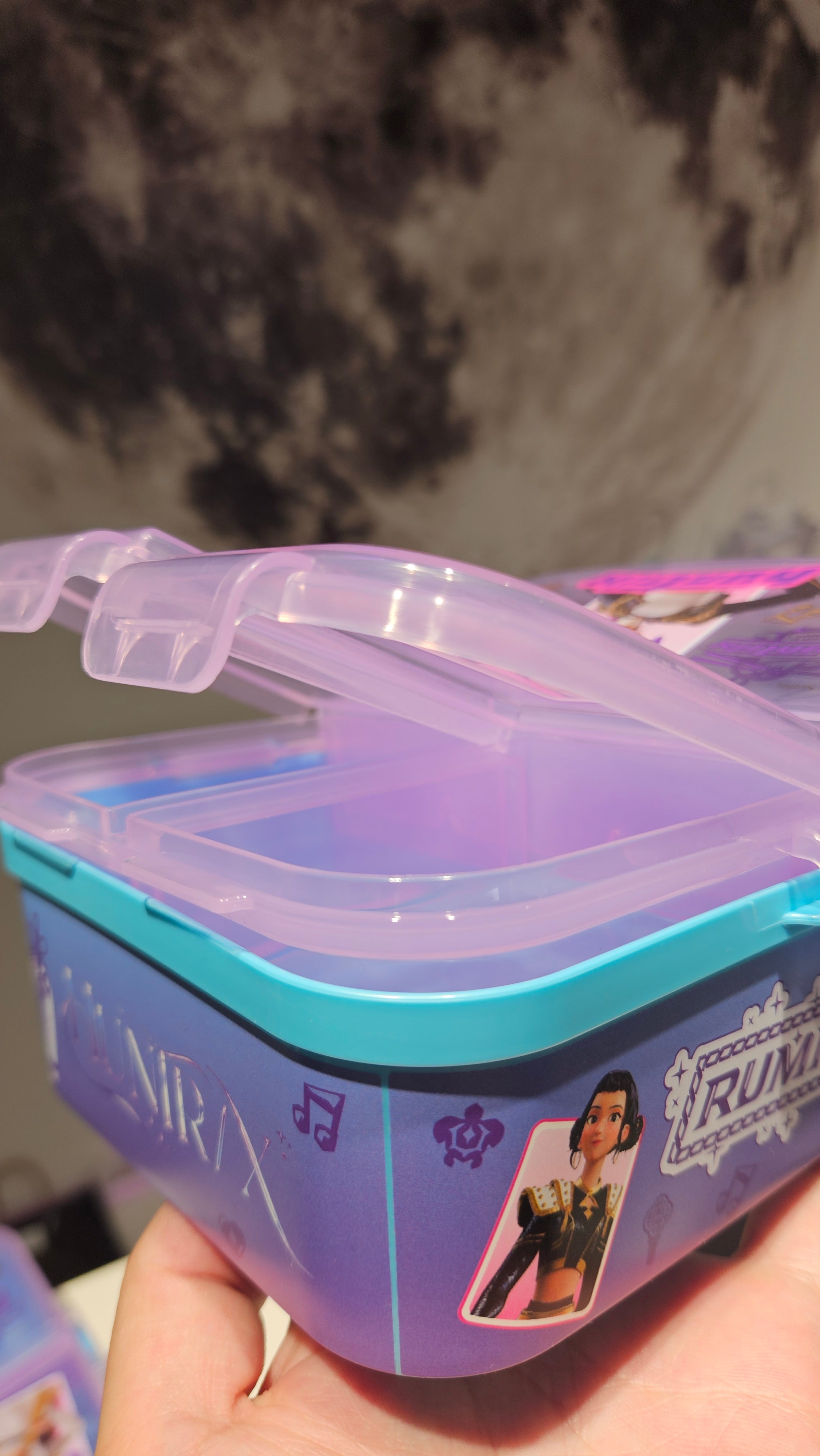 Caixa de Lanche K-Pop com Divisórias