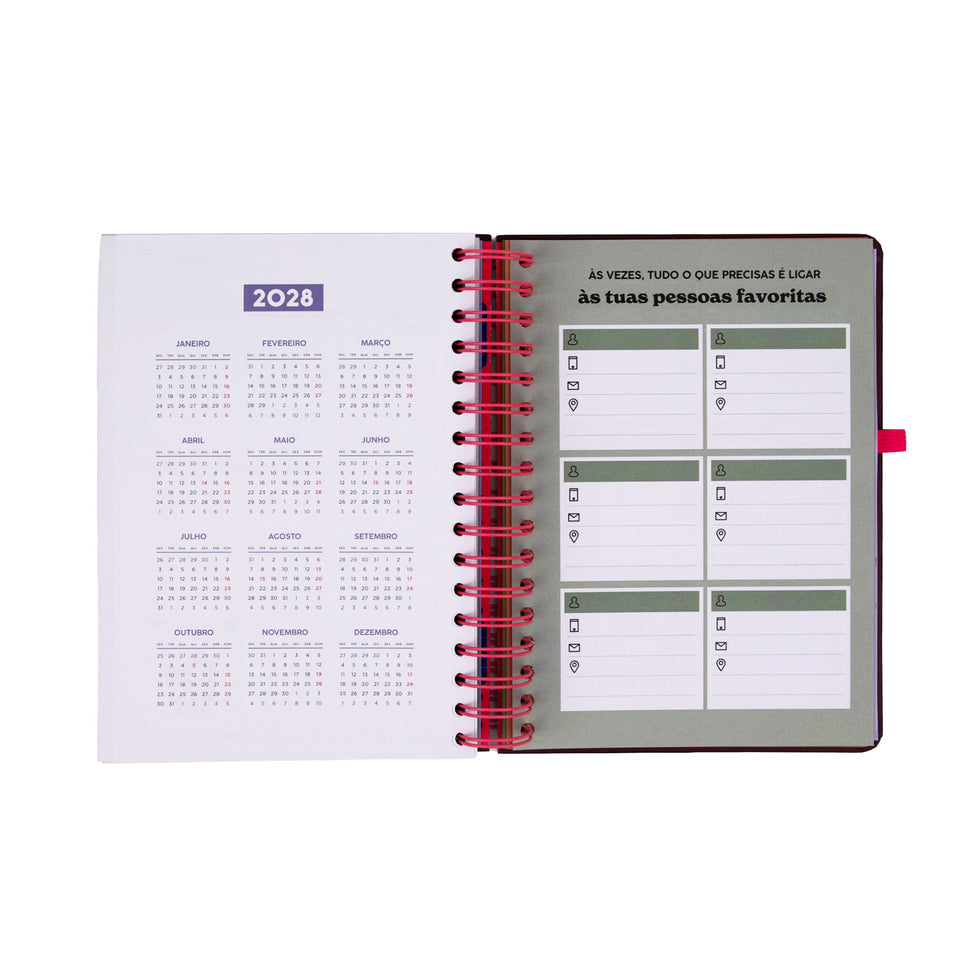 Agenda Diária 2027 Full Aesthetic Mr.Wonderful