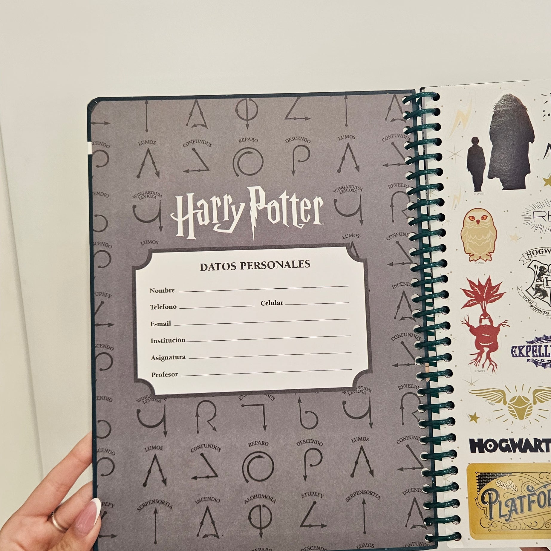 Caderno A4 em Espiral Quadriculado Harry Potter com Autocolantes e Envelope
