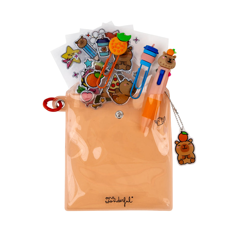 Kit Para Decorar a Tua Agenda Capivara Mr.Wonderful