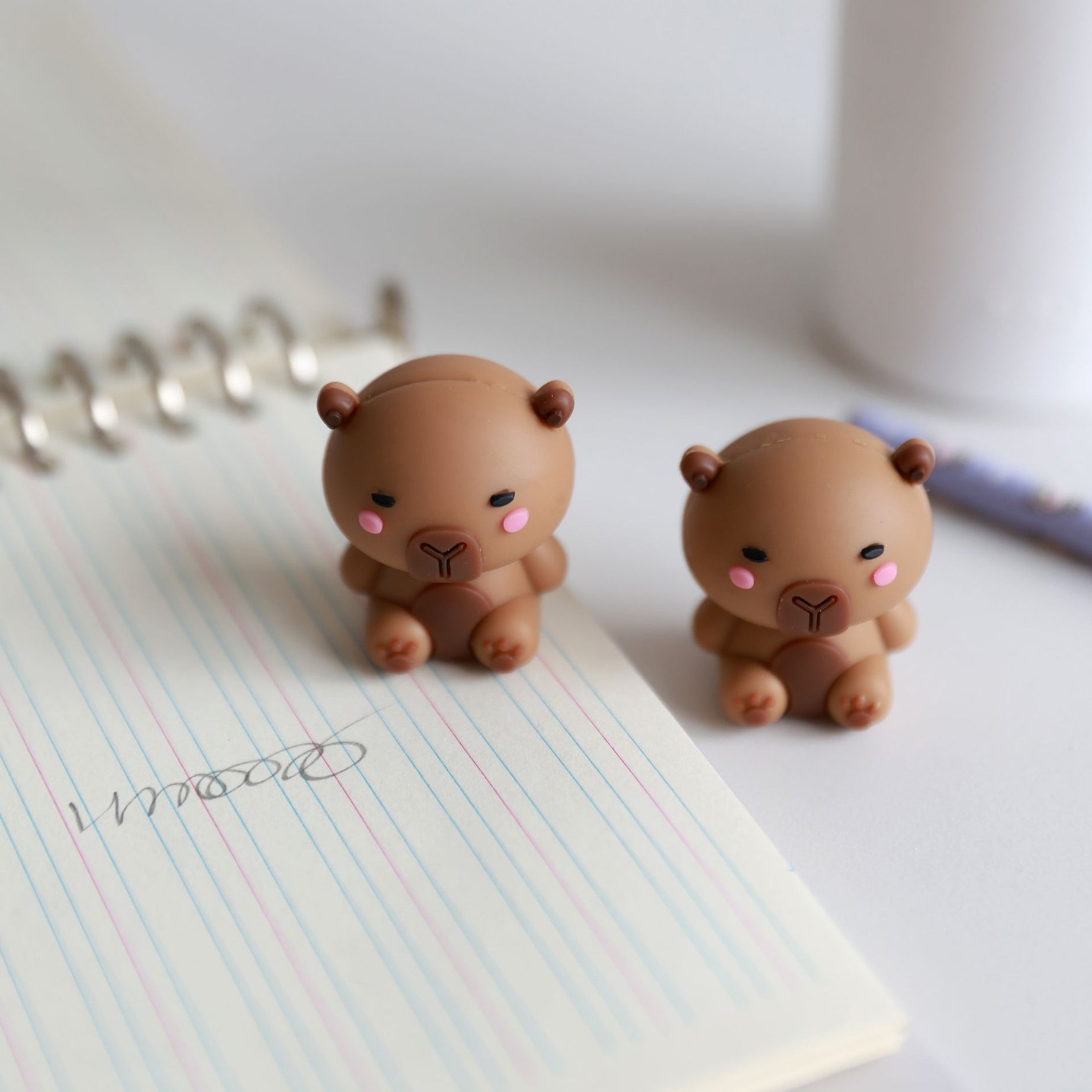 Borracha 3D Capivara