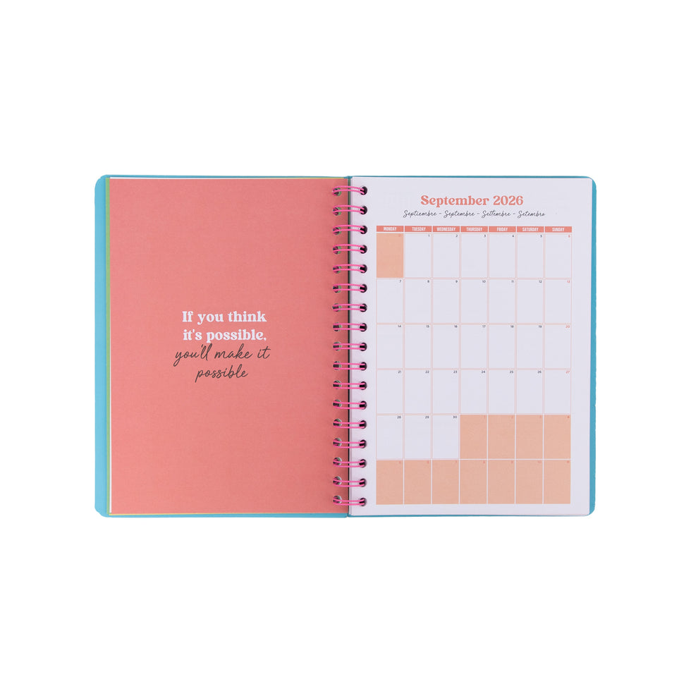 Agenda Semanal Mr.Wonderful "To Plan Or Not to Plan"