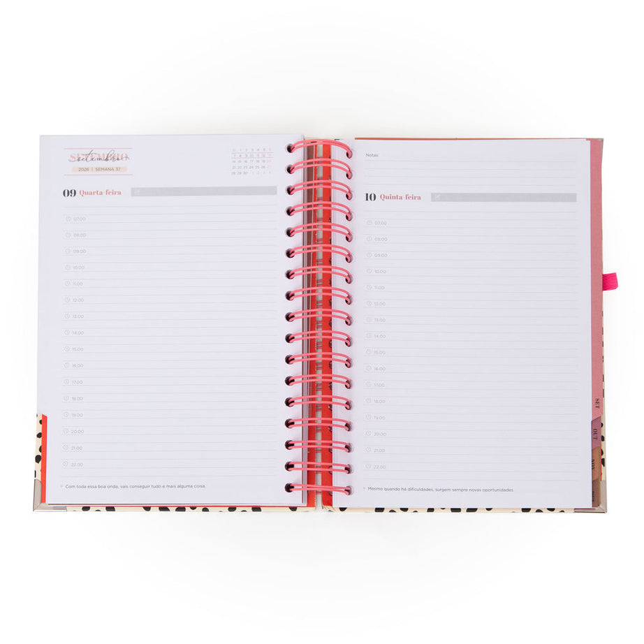 Agenda Diária Mr.Wonderful 2026 - Aqui e Agora - Com Caneta Apagável Exclusiva