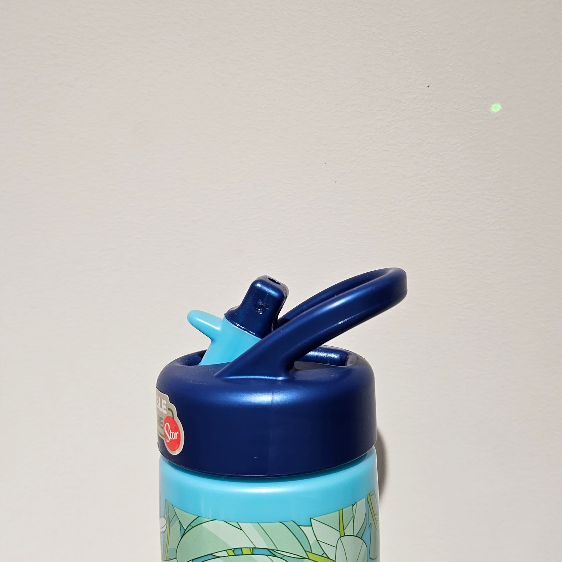 Garrafa com Palhinha Bluey