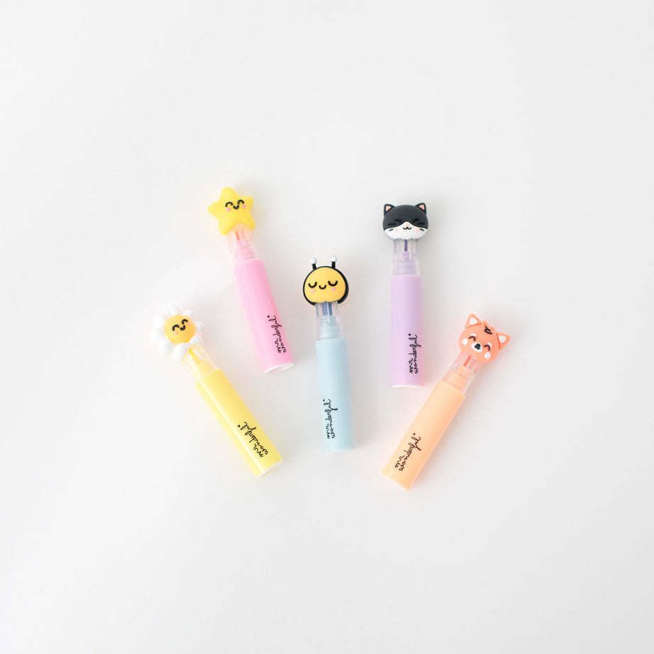 Conjunto 5 Sublinhadores Mr.Wonderful