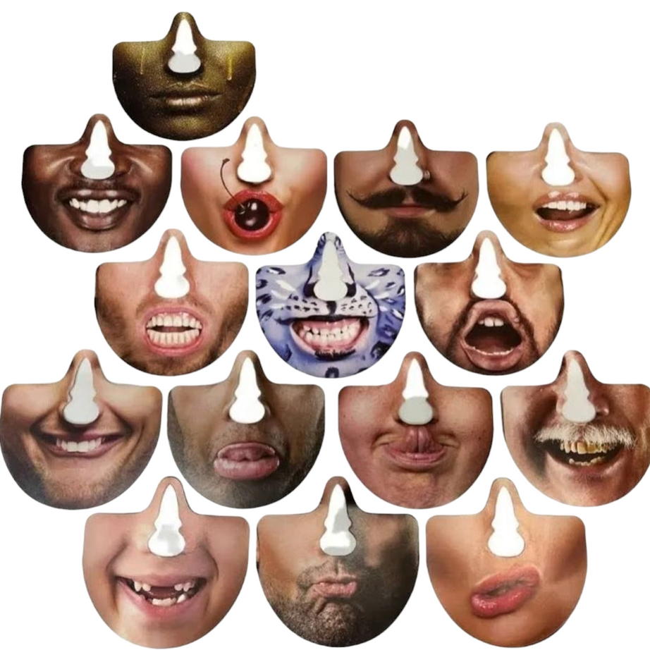 Conjunto 15 Máscaras Nariz Divertidas
