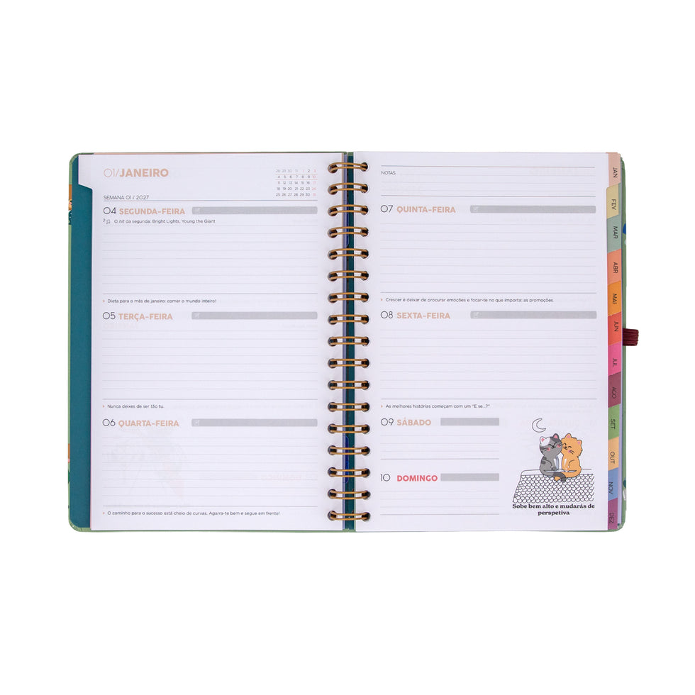 Agenda Semanal 2027 Pequena Mr.Wonderful "Entre Rotinas e Tarefas"