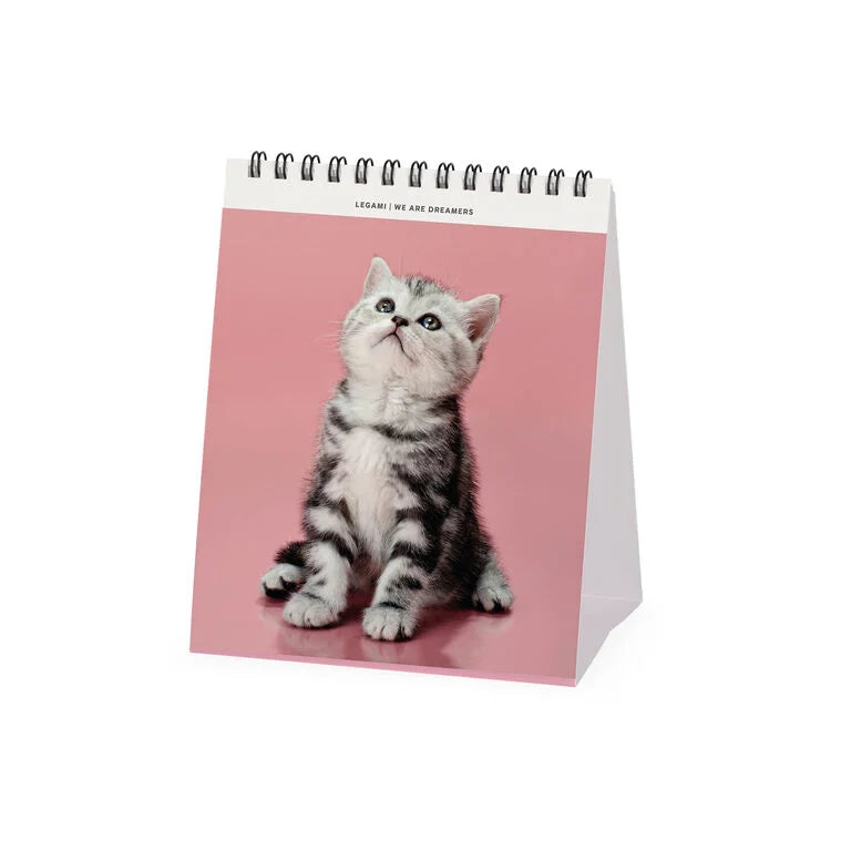 Calendário de Mesa 2027 Gatinhos Kittens Legami