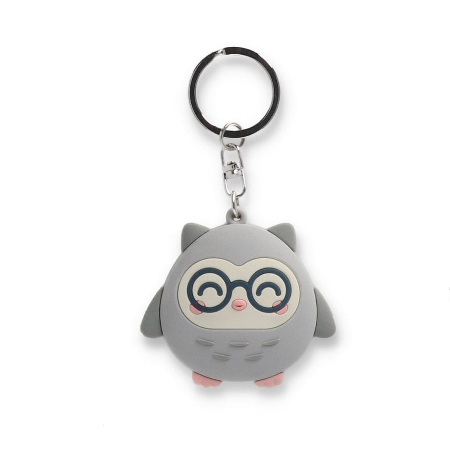 Porta Chaves Coruja Mr.Wonderful "Para Professores Excelentes"