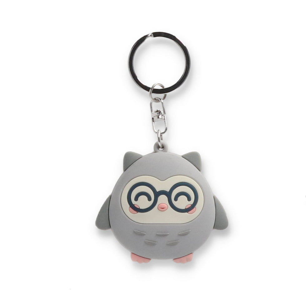 Porta Chaves Coruja Mr.Wonderful "Para Professores Excelentes"