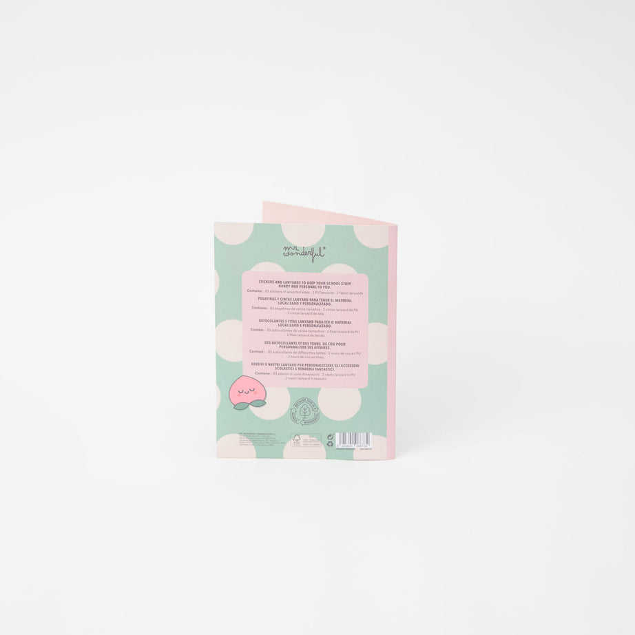 Conjunto de Autocolantes e Fitas para Identificação do Material Escolar Mr.Wonderful