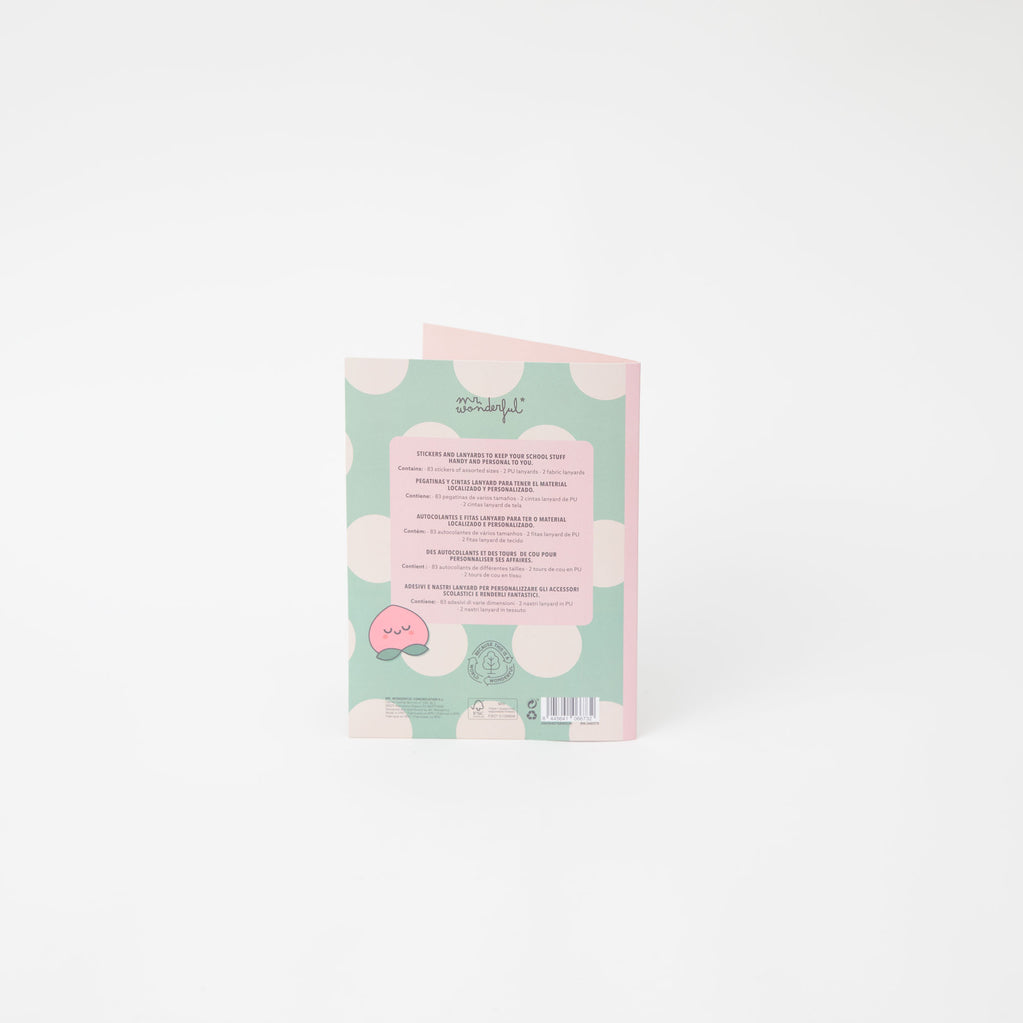 Conjunto de Autocolantes e Fitas para Identificação do Material Escolar Mr.Wonderful