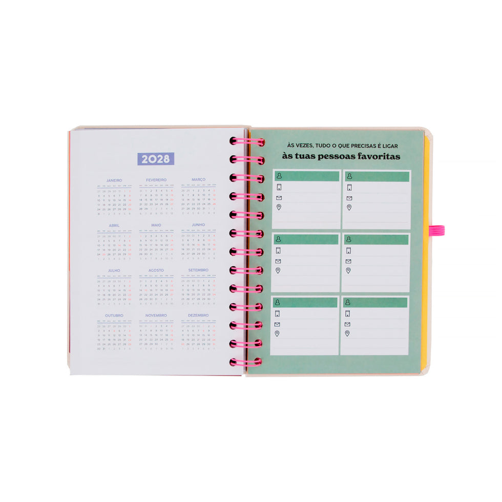 Agenda Semanal Pequena 2026/2027 Mr.Wonderful "Ready" com 3 Canetas Apagáveis Exclusivas