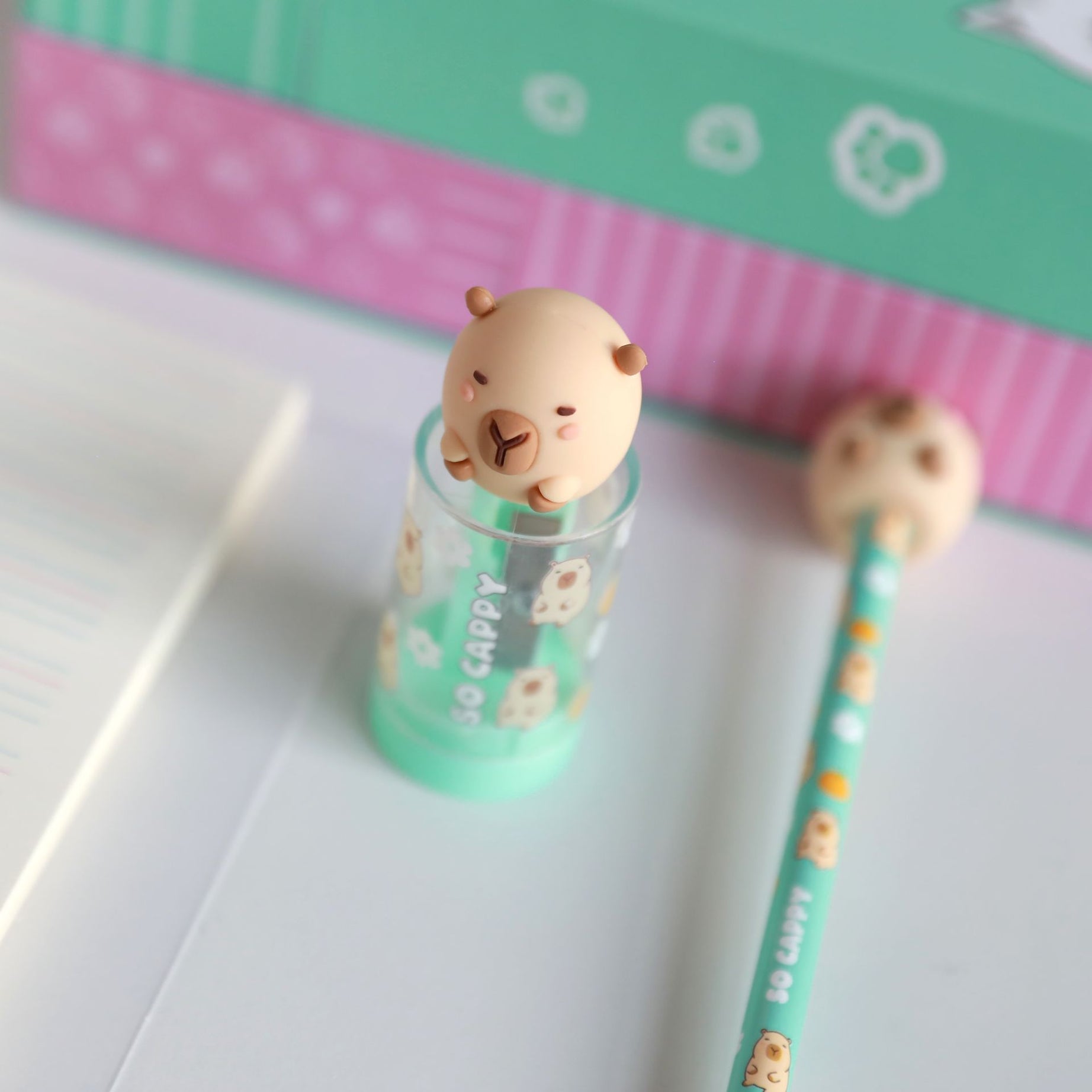 Afia com Depósito Capivara