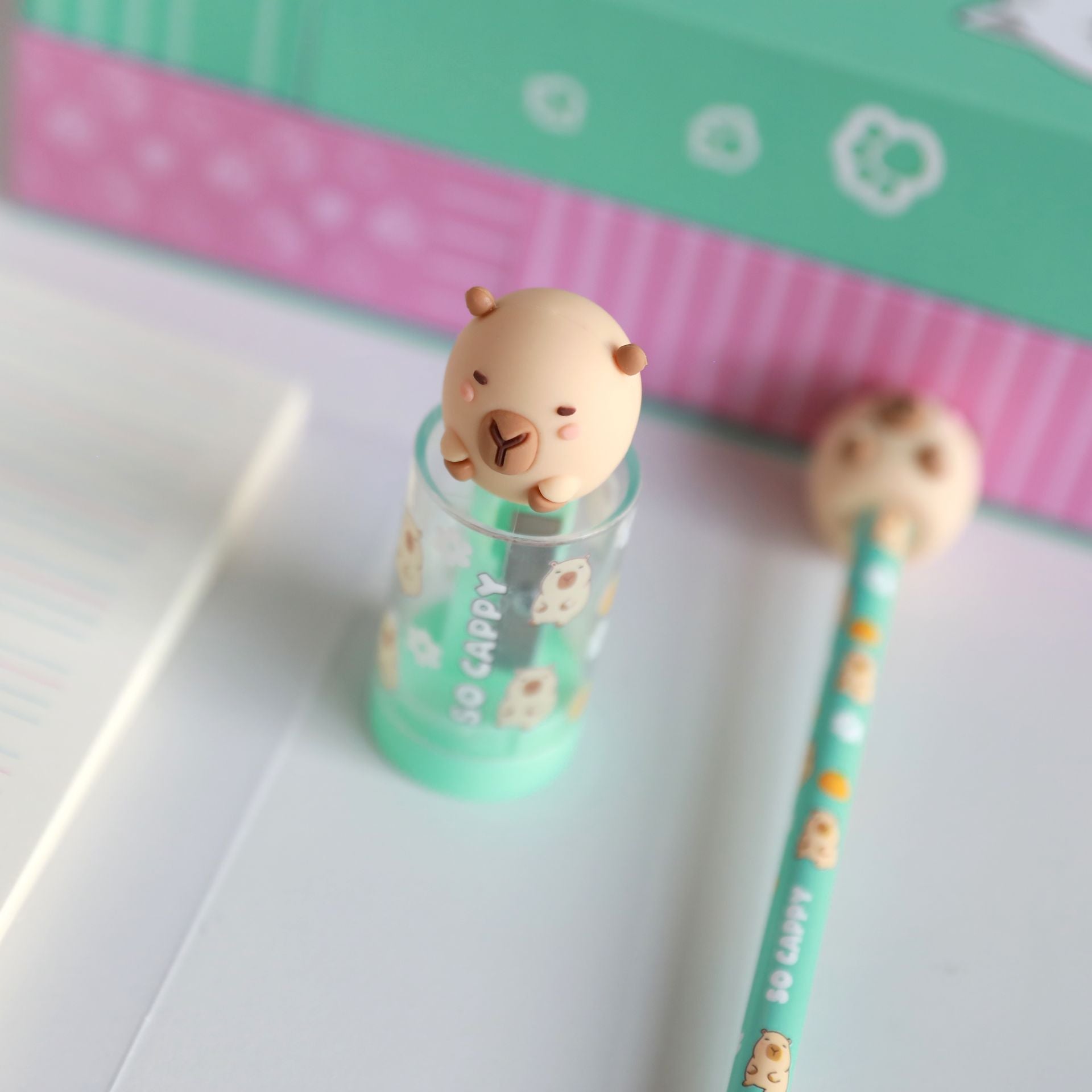 Afia com Depósito Capivara