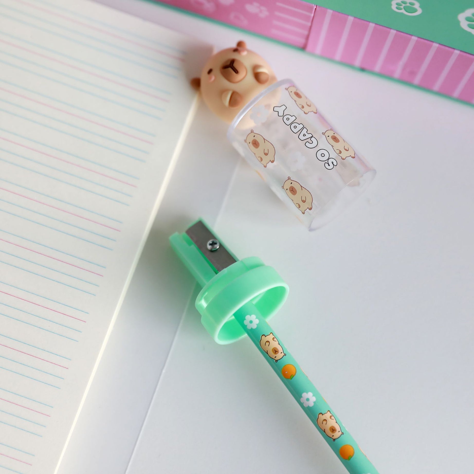 Afia com Depósito Capivara