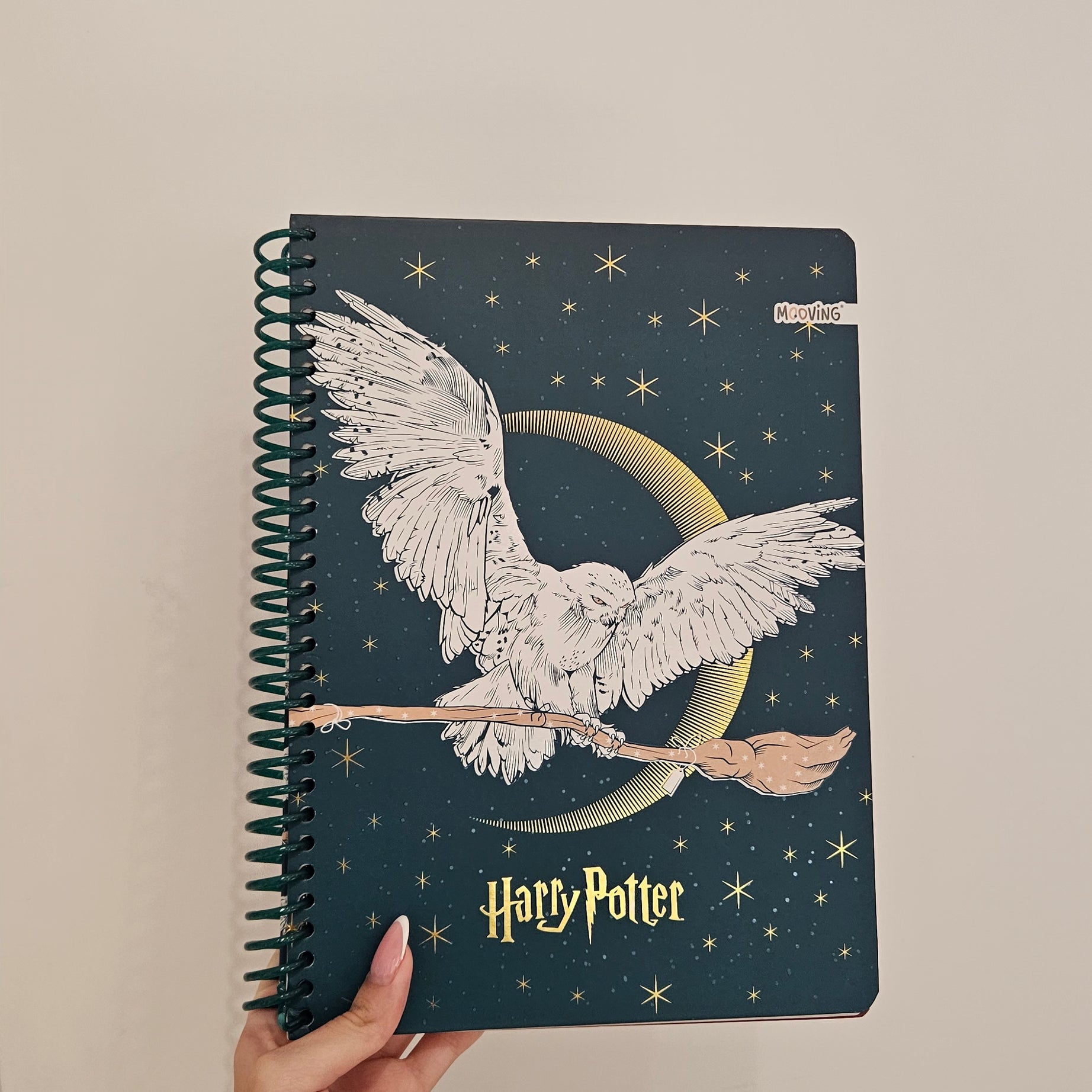 Caderno A4 em Espiral Quadriculado Harry Potter com Autocolantes e Envelope