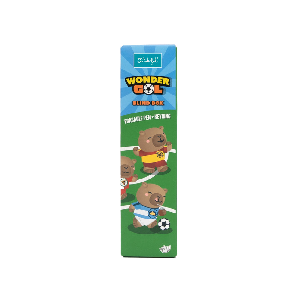 Caneta Apagável Surpresa WonderGol Mr.Wonderful