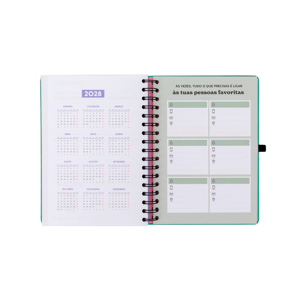 Agenda Semanal 18 Meses 2026/2027 Mr.Wonderful "Sonha Muito, Vive Livre"