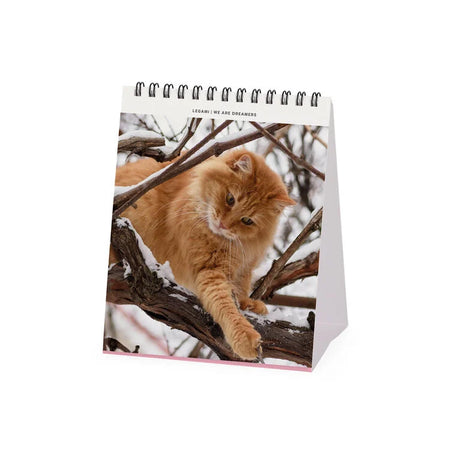 Calendário de Mesa 2027 Gatinhos Cats Legami