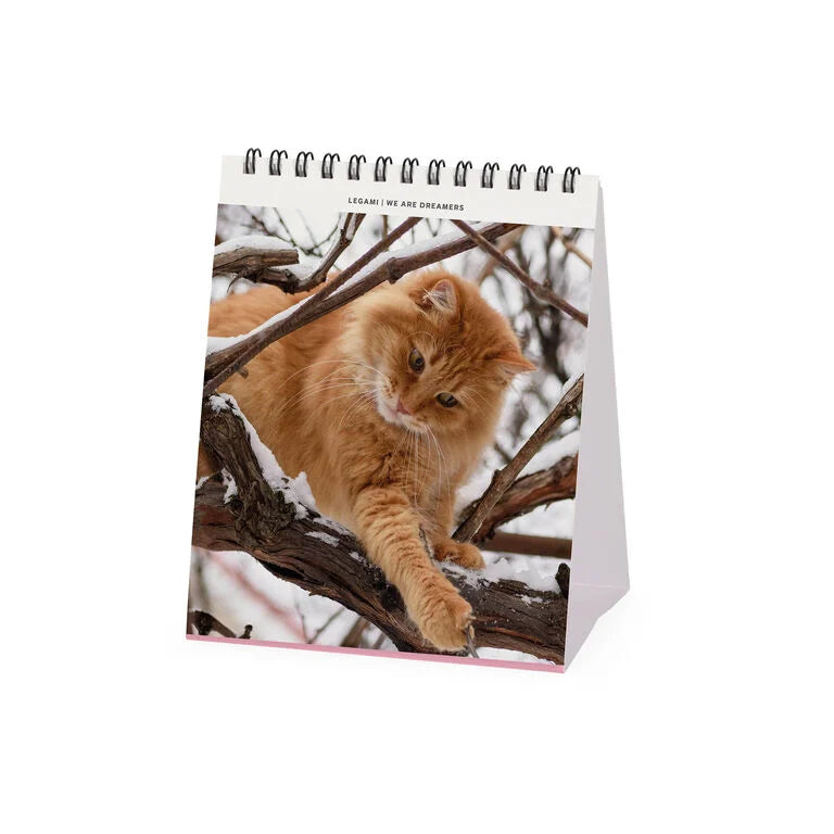 Calendário de Mesa 2027 Gatinhos Cats Legami