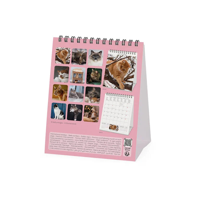 Calendário de Mesa 2027 Gatinhos Cats Legami