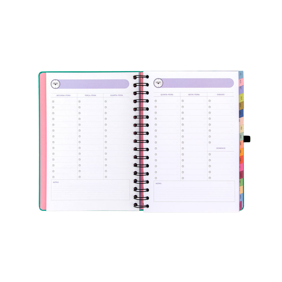 Agenda Semanal 18 Meses 2026/2027 Mr.Wonderful "Sonha Muito, Vive Livre"